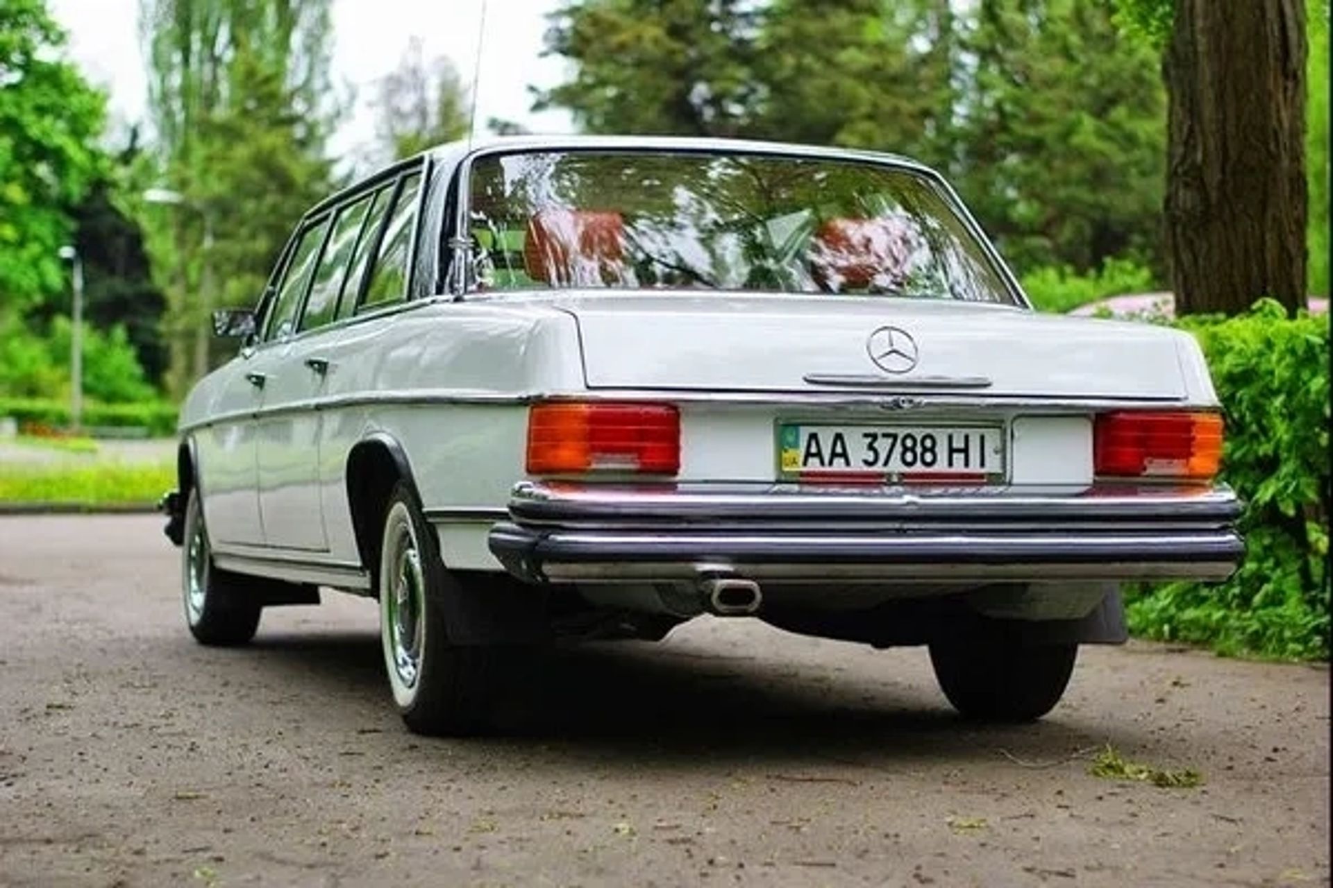 210 Ретро авто на весілля зйомки Mercedes-Benz 1969