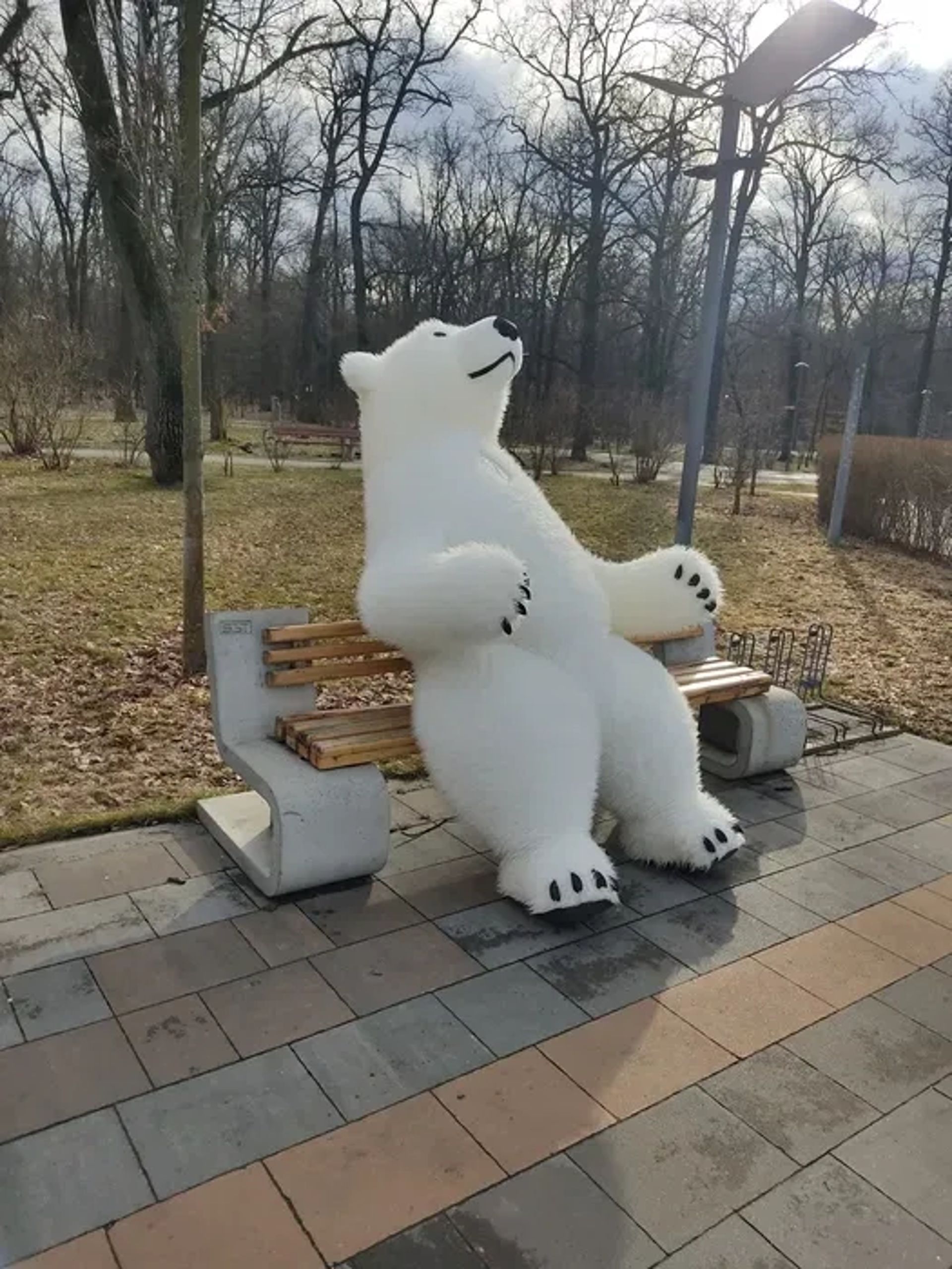 Великий мішка готовий для привітання