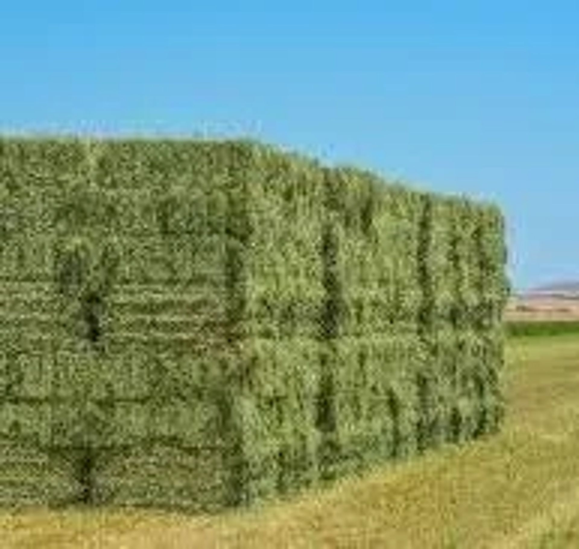 Тюкування люцерни с. Левків, Житомирська обл