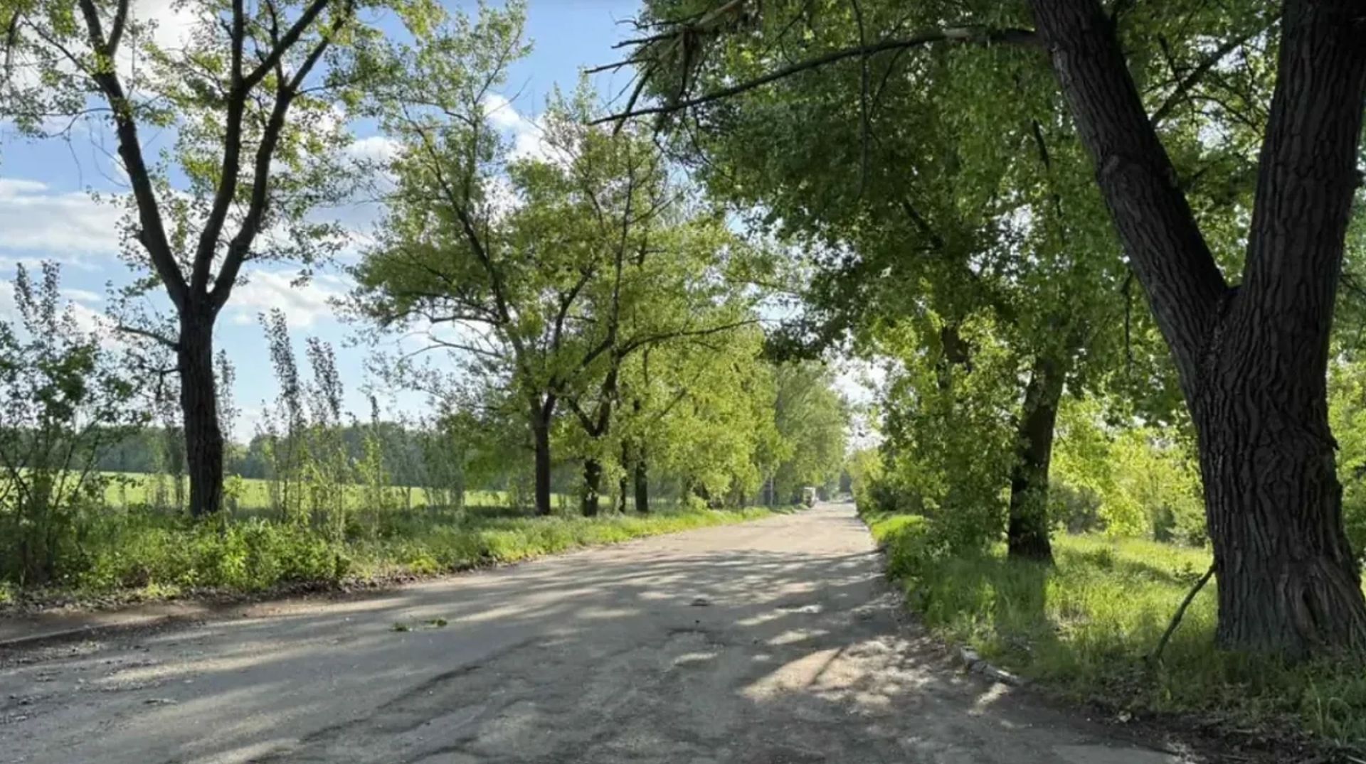 Земля комерційного призначення на вул. Старокодацька, площа 81 сотка