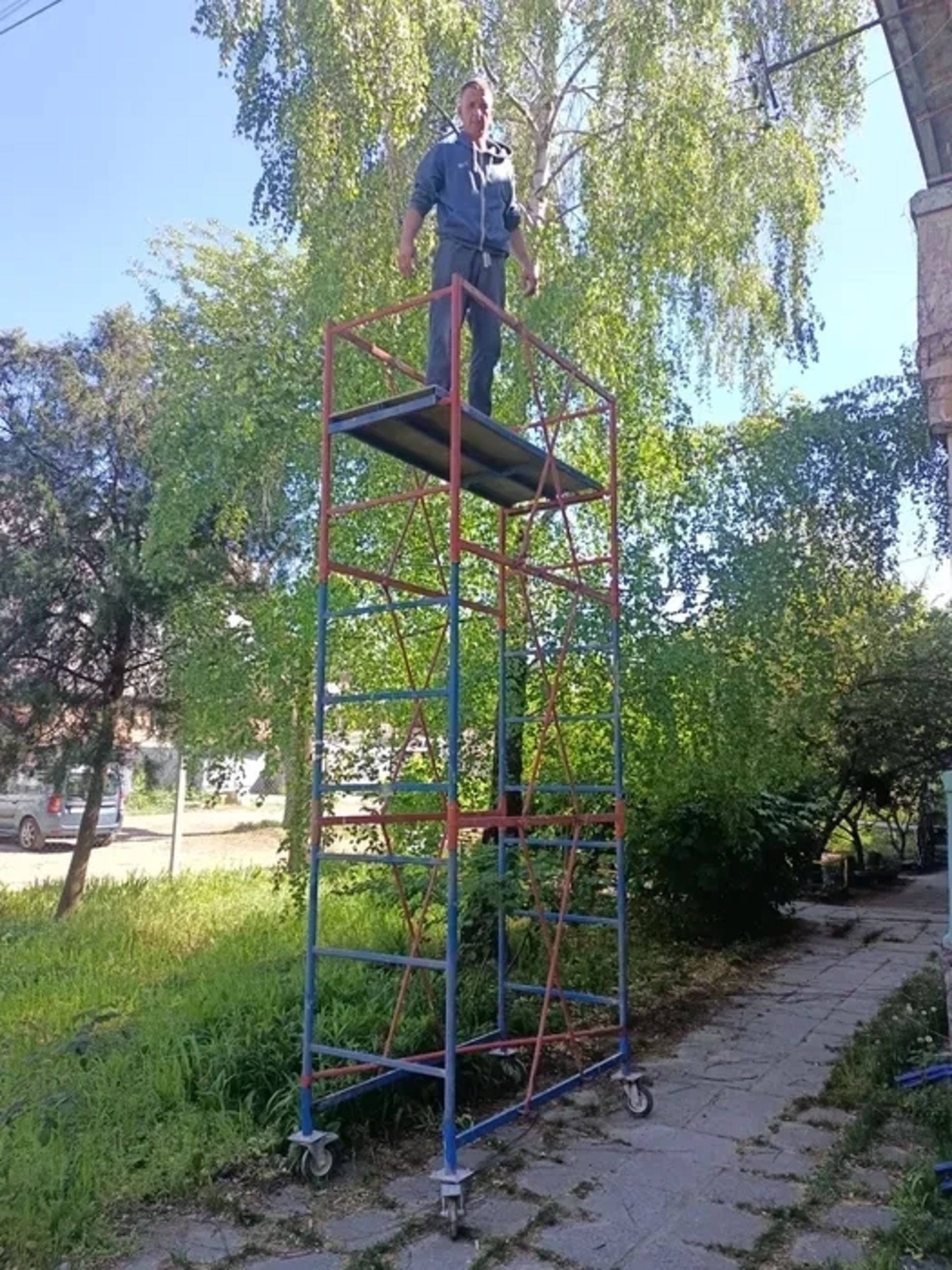 Вишка тура