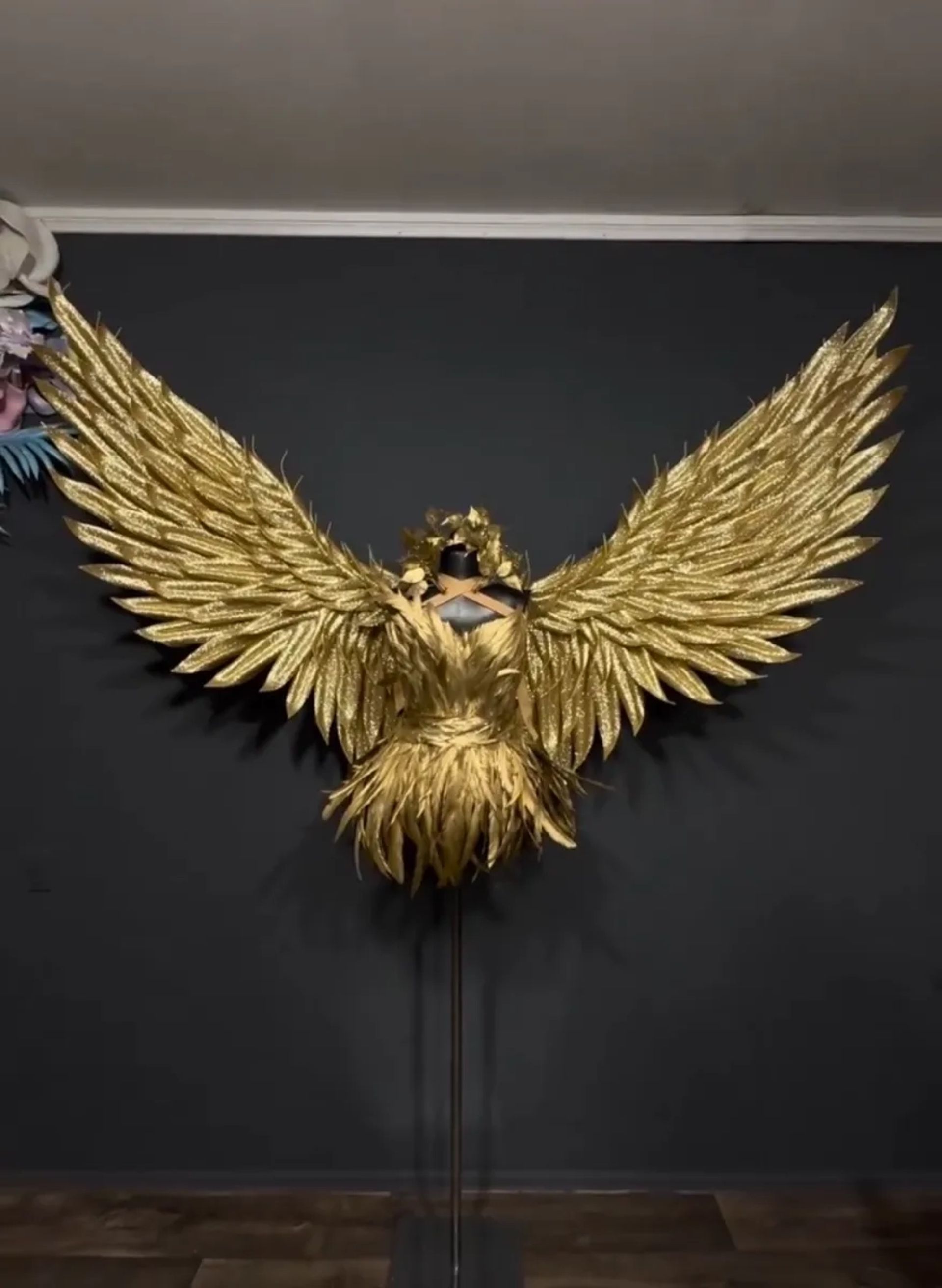 Крила янгола, крила феї, святкування, дня народження.