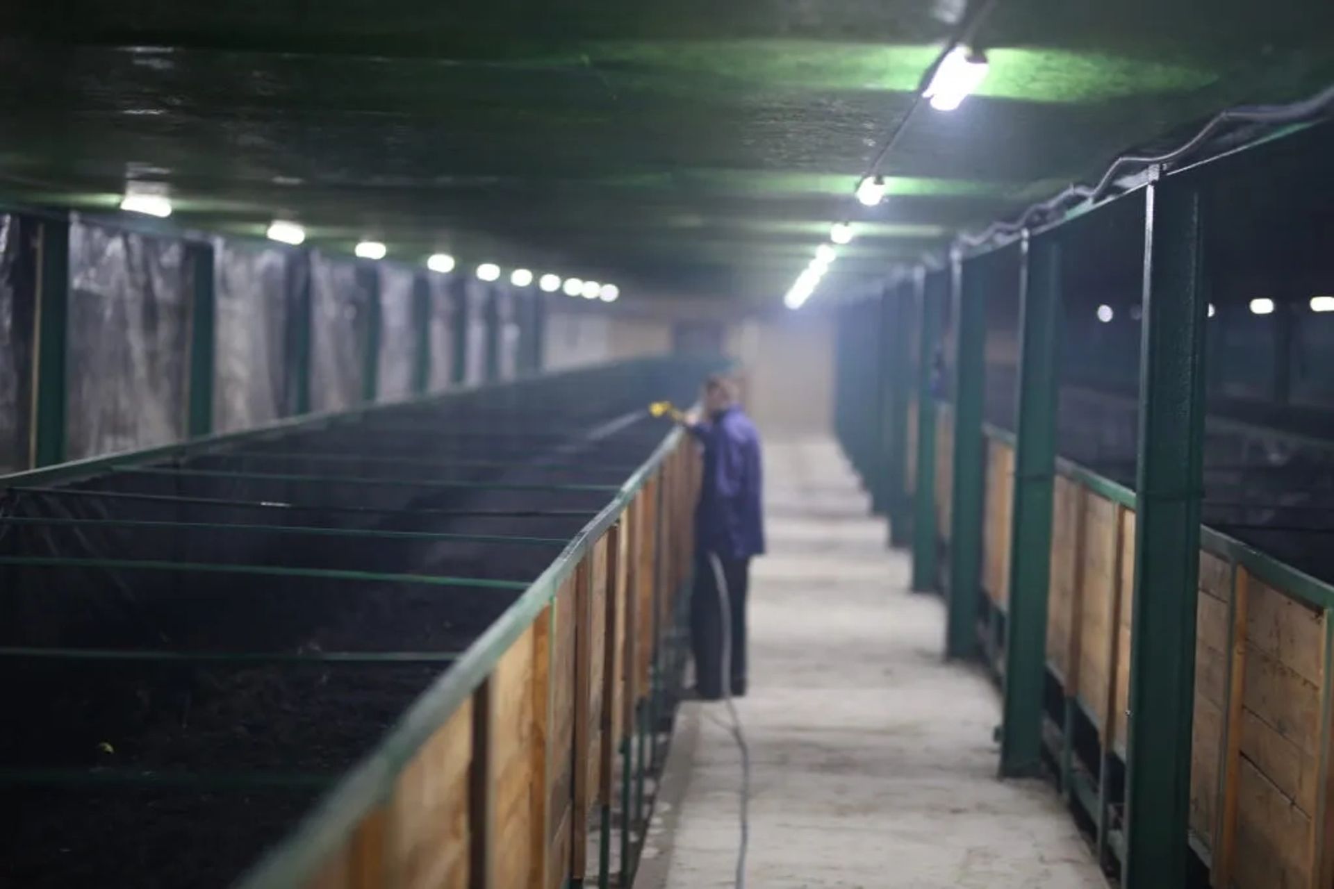Бізнес на продаж ферма вівці кози