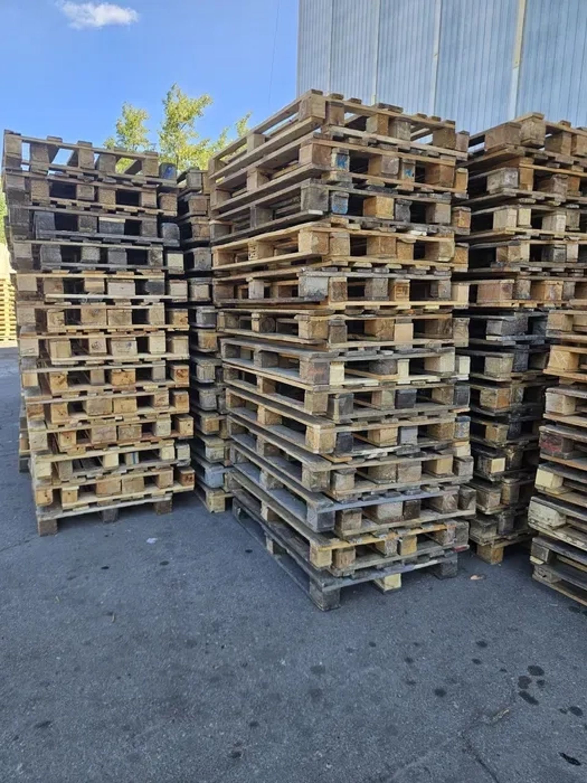 Закуповуємо Євро піддони палети, розміром 1200х800 та 1200х1000. 70 грн.