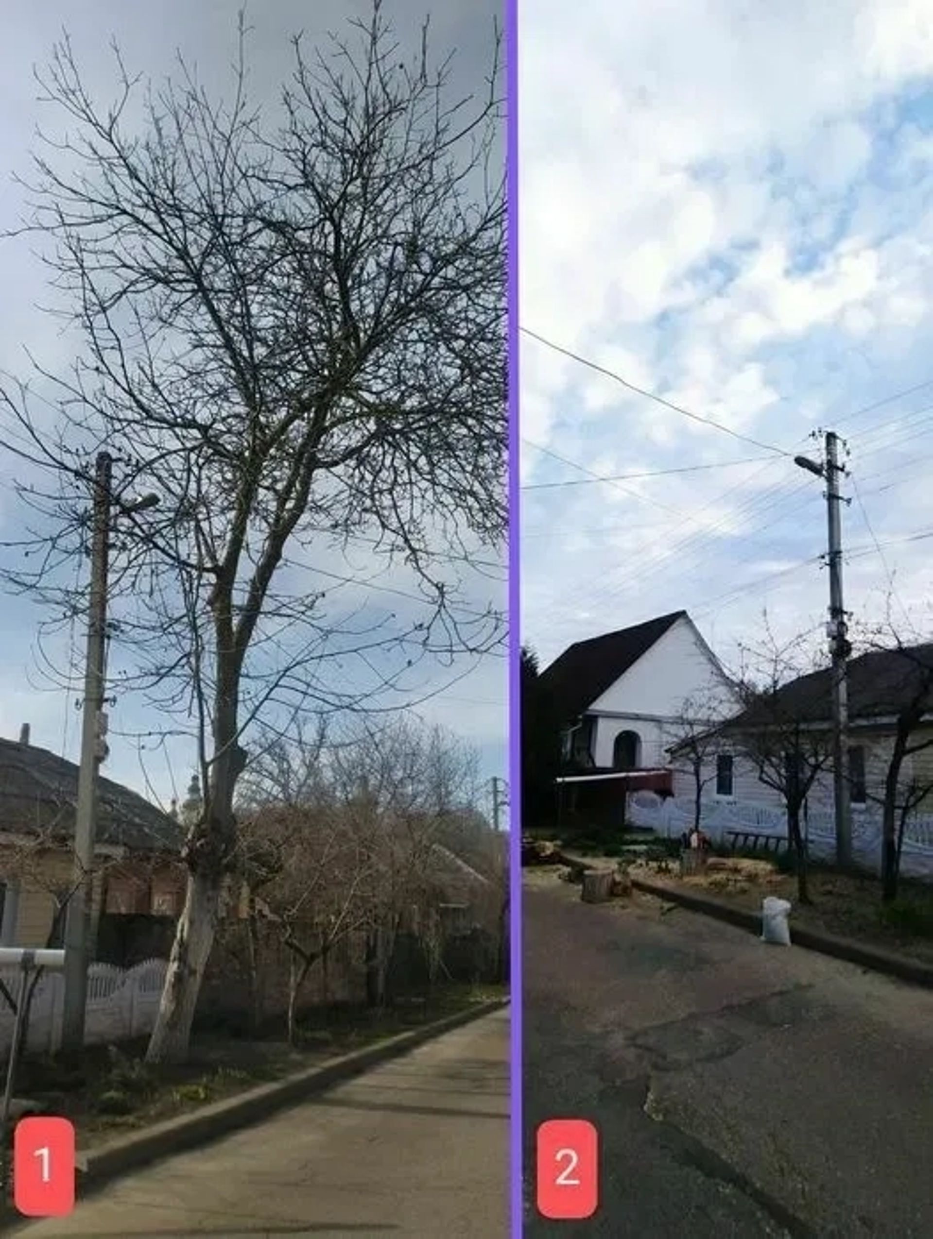 Професійний спил дерев. Кронування. Правильна обрізка дерев.