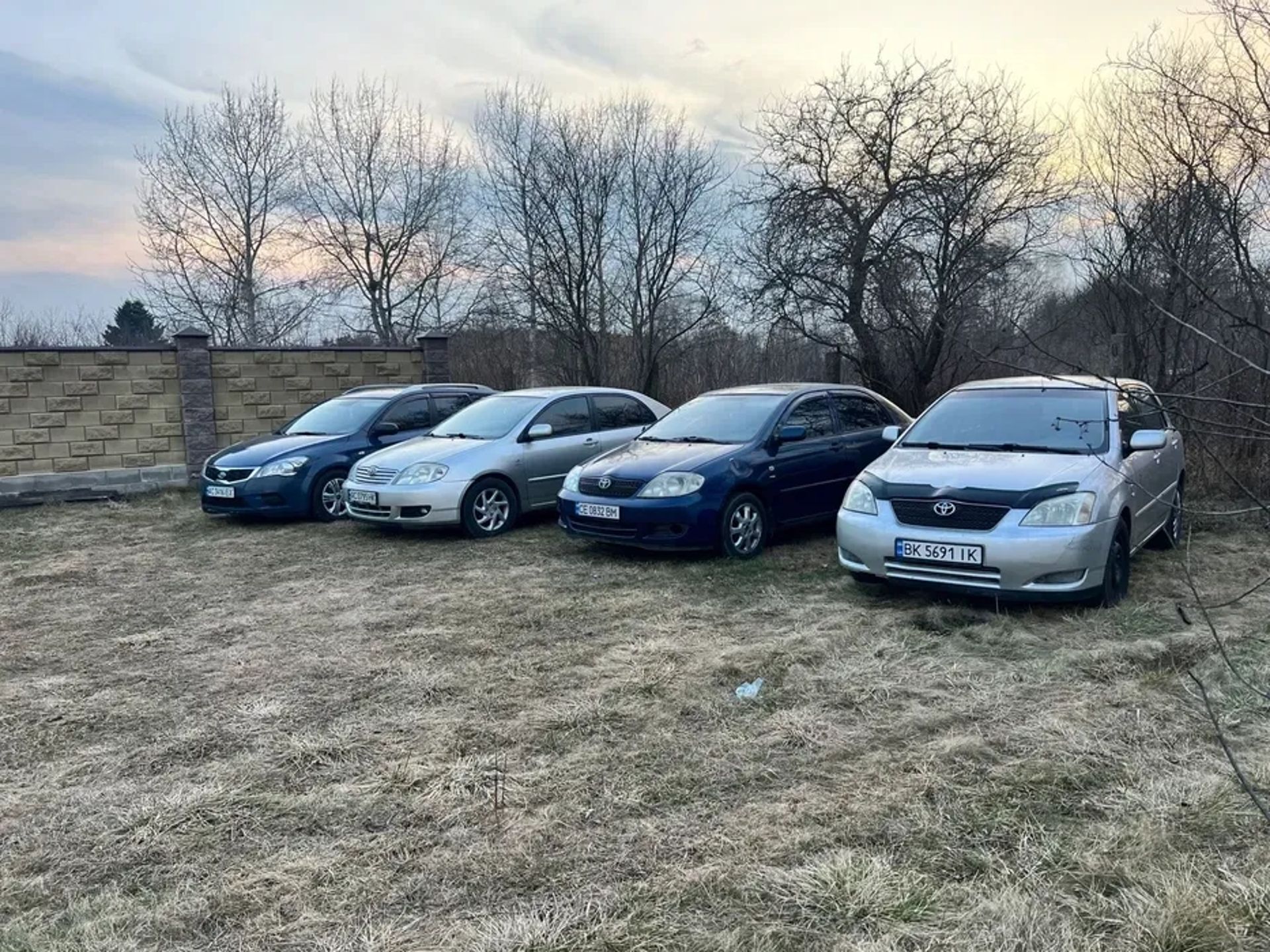 Авто rental cars