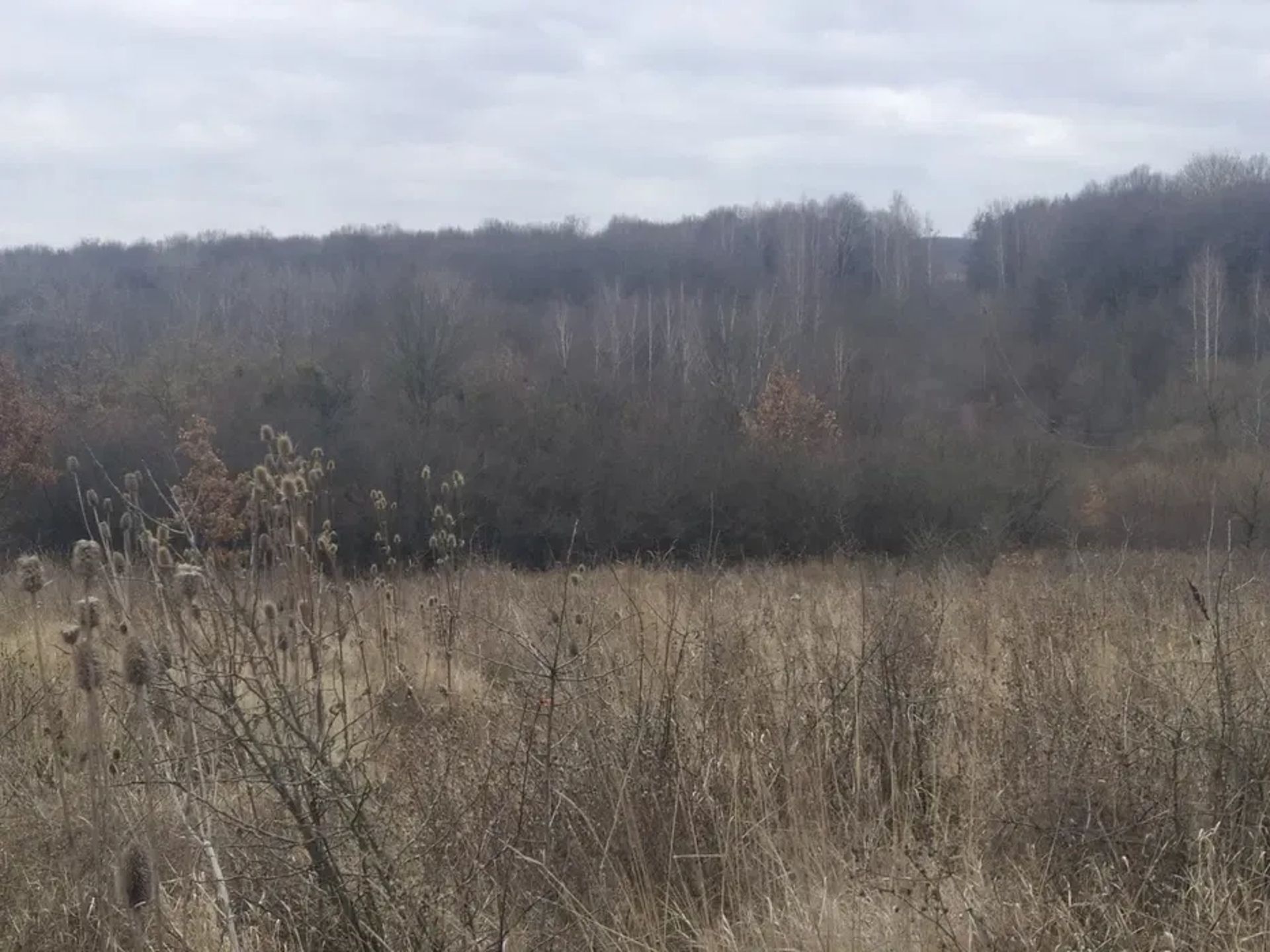 Ділянка - сільськогосподарська земля, с. Котюржинці.