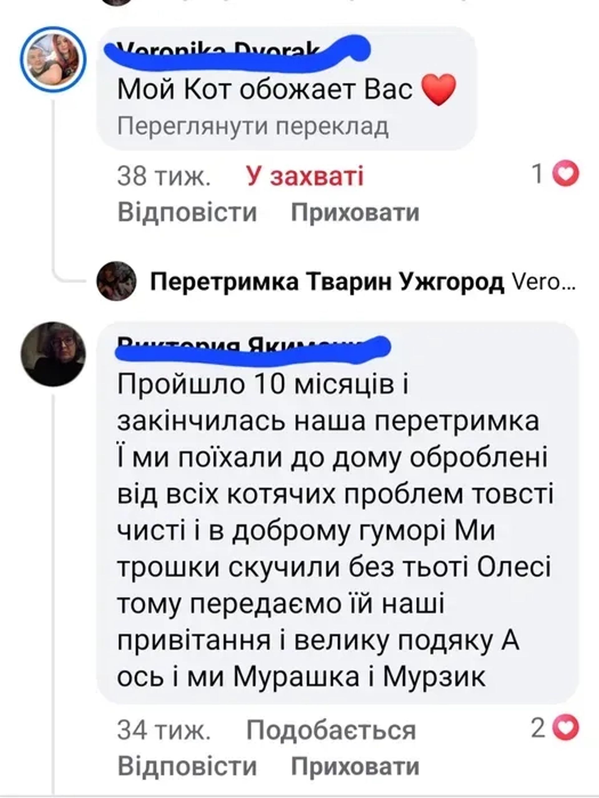 Перетримка тварин. Комфортний готель