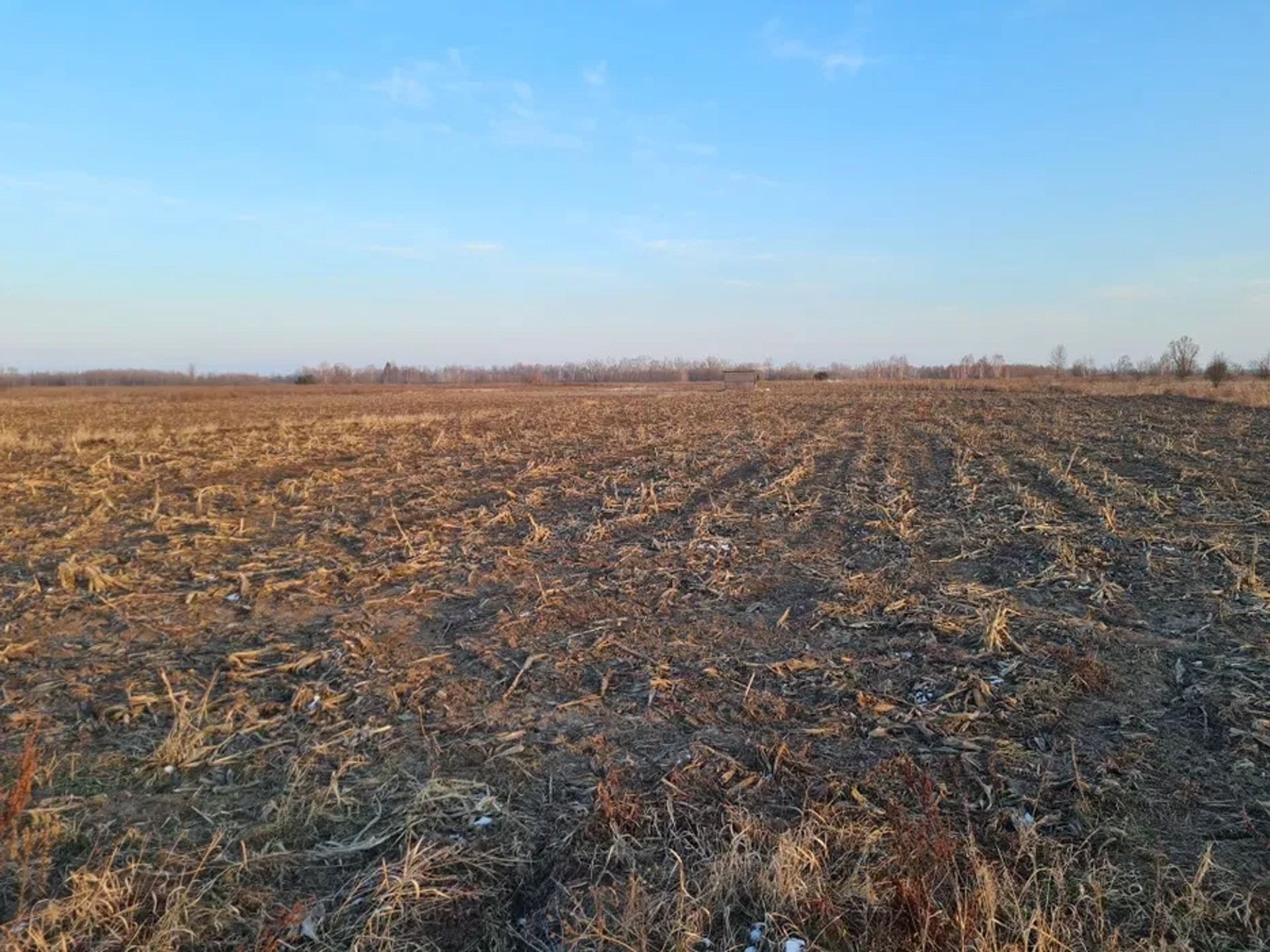 Земля, 2,15га, с.Вища Дубечня, під сад, овочі, теплиці, інше