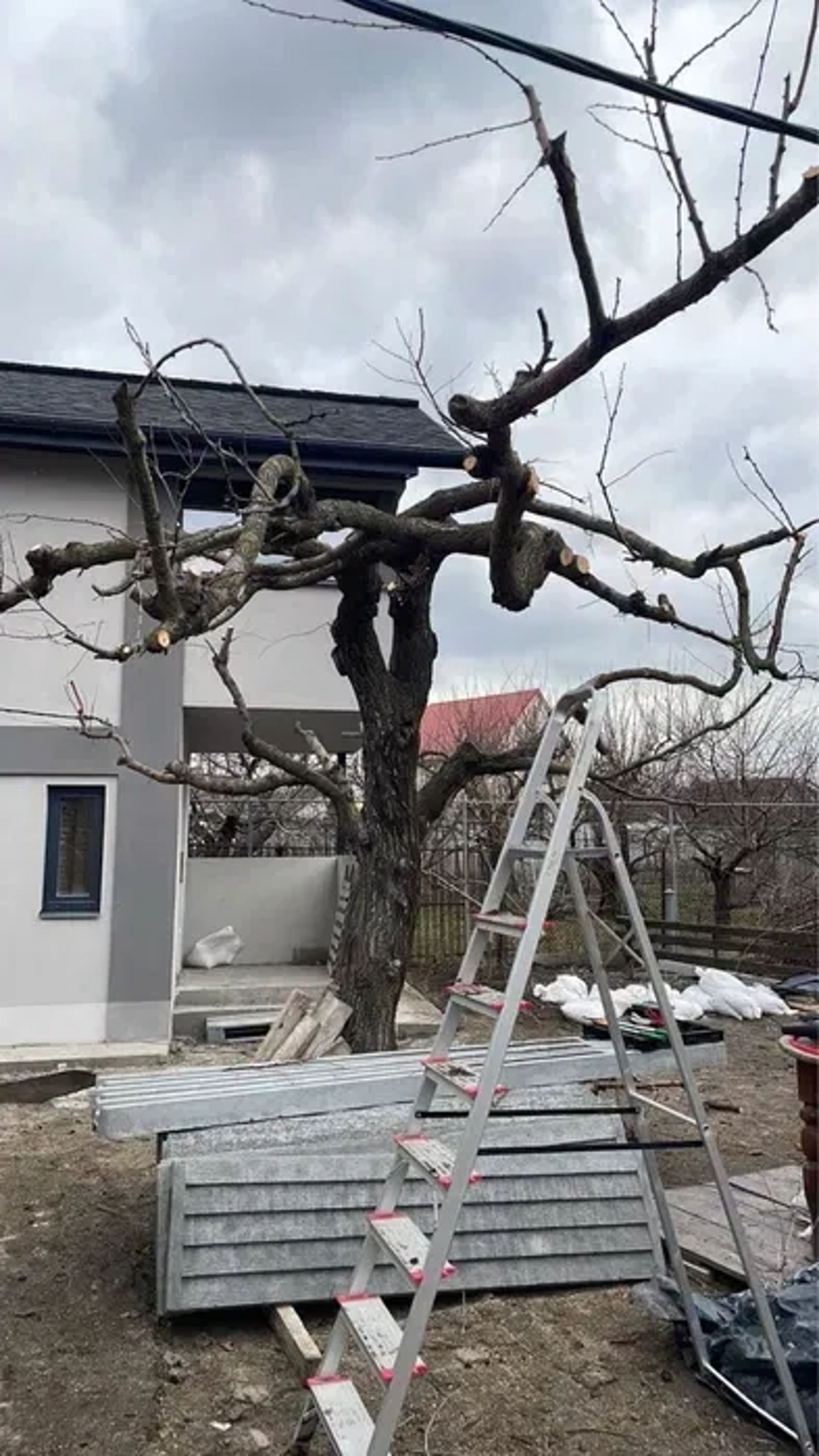 прибирання ділянок, покіс трави, оранка мотоблоком, дроблення гілок