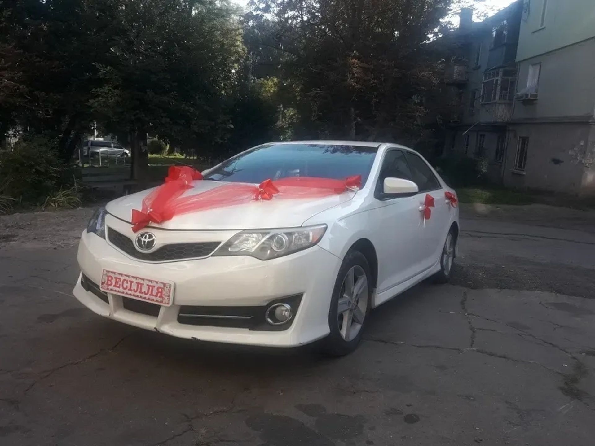 Авто на свадьбу с водителем Белая Toyota Camry 50 Трансфер
