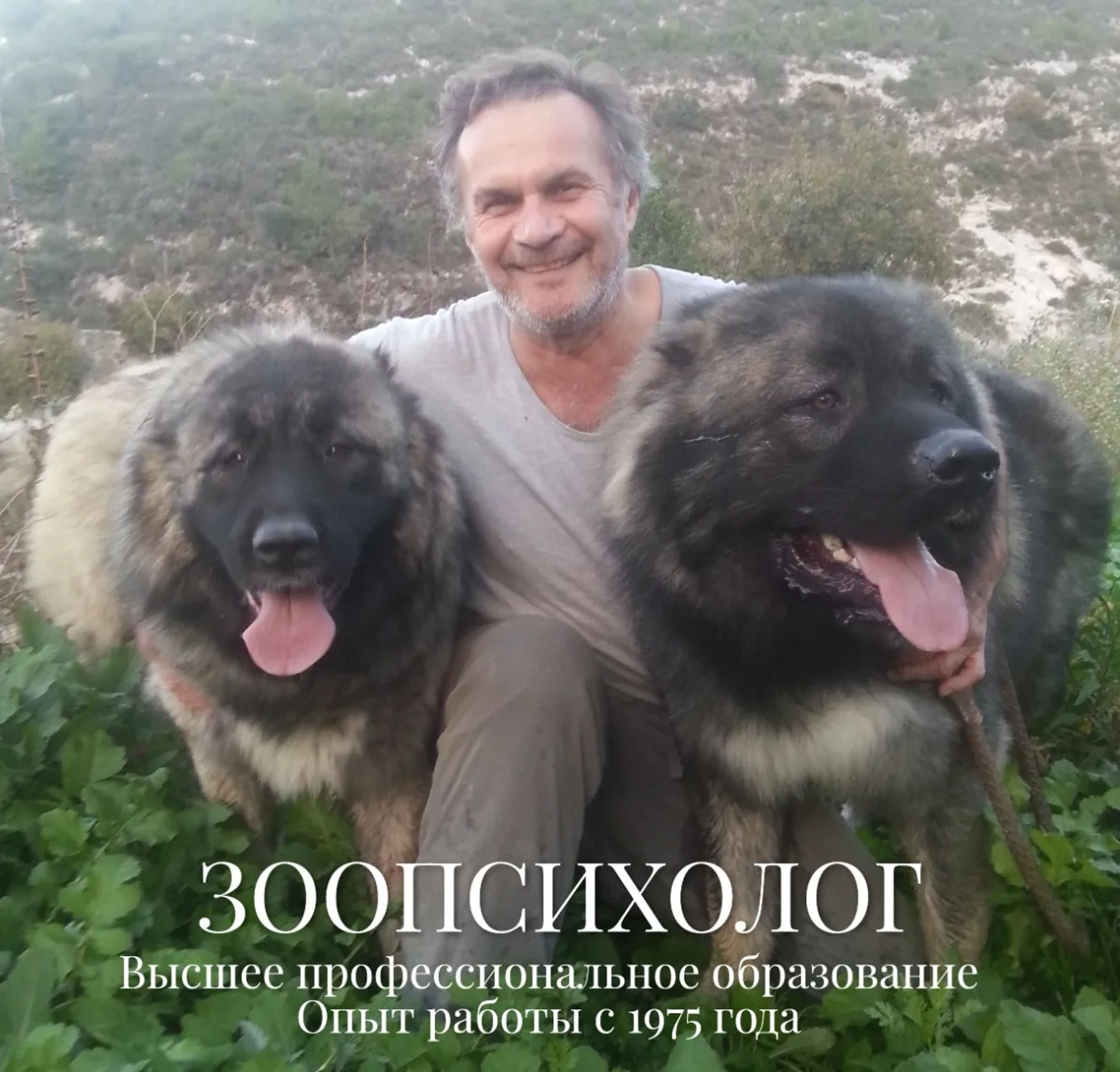Кінолог. Зоопсихолог. Дресирування собак. Корекція поведінки. Онлайн.