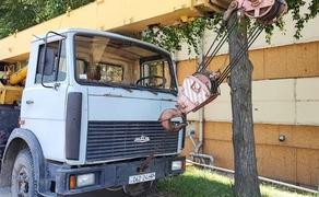 Послуги автокрана 20т 22м стріла