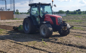 Трактор колісний MASSEY FERGUSON 2430