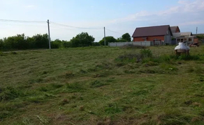 Покос, прибирання участків. Від 250₴ за 100 кв. м