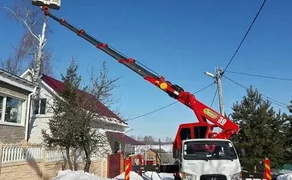 Професійне спилювання дерев