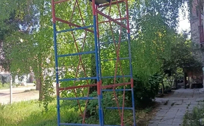 Вишка тура