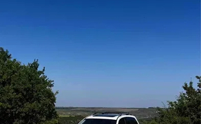 Авто для весілля