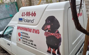 Пікап ЗАЗ 11055 газ/бензин