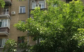 Реконструкція будівлі-балконів