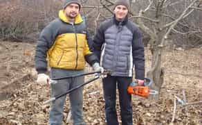 Обрізка фруктових дерев, формування крони обрізати сад