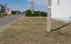 Прибирання ділянки, території. Спил дерев. Покосити , Покіс трави