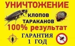 Знищення тарганів клопів труїти вивести бліх клопів тарганів