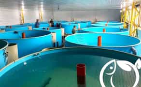 Будівництво і проектування УЗВ та інших типів аквоферм