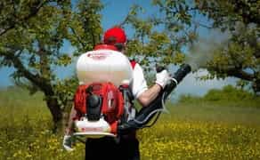 Обработка сада.Опрыскивание фруктовых. Обрезка сада.Садовник.