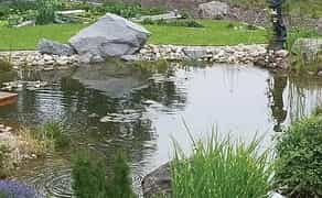 Створення декоративно - плавального ставка