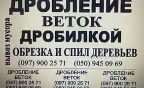 Обрізка та спил дерев, подрібнення гілок дробілкою, вивіз сміття