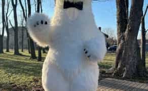 Білий ведмідь, привітання для дітей, паперове шоу. Стрептизерша для чоловіків. Аніматор