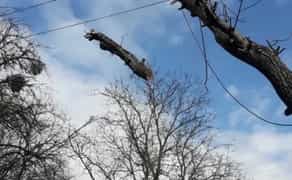 Зрізання зрізка дерев, чистка даху від снігу