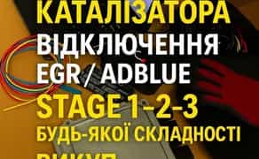 Прошивка Євро-2, Stage 1–3, відключення EGR та DPF з виїздом на ваш автосервіс