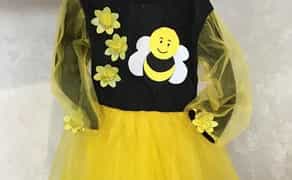 Костюм шоколадки, бджілки, бедрика