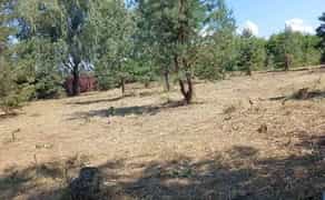 РОЗЧИЩЕННЯ ДІЛЯНКИ, Прибирання території, ПОКОС, СПИЛ ДЕРЕВ, Порослі