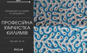 Професійна чистка килимів