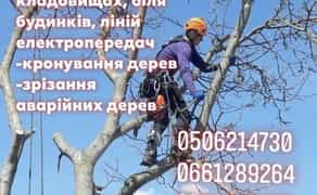 Зрізання спил дерев кронування зрізка