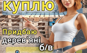 Приймаємо та викуповуємо дерев’яні піддони в Житомирі — швидко і без зайвих питань