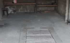 Капітальний гараж: сухий, чистий та доглянутий