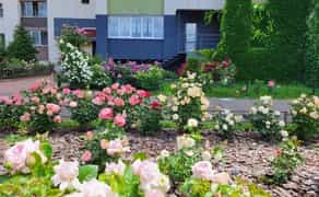 Фасадне приміщення Дніпровська набережна 13 (Березняки)