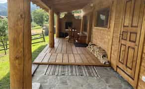 Будинок в Яремчі біля лісу