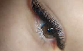 Наращивание и ламинирование ресниц. Брови. Обучение. Тополь-3