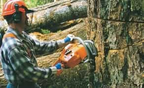 Пиляємо дерева любої складності,прибираємо ділянки