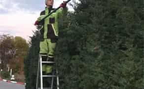 Садівник, обрізка дерев, топіар, ниваки, стрижка туй, ялівець