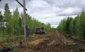 Расчистка трасс линий электропередач (ЛЭП) сучасно, ефективно з нами!