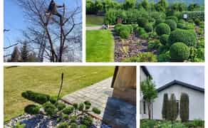 Обрізка садів, озеленення об'єктів, догляд за газоном, та інше