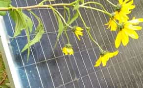 Монтаж сонячних панелей