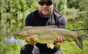 Автопідбір • Огляд Авто перед покупкою • Комп'ютерна діагностика