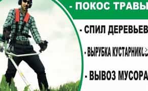 Комплексная Уборка Участков: Спил Деревьев, Кустарников, Вывоз Мусора. Быстро и Чисто!